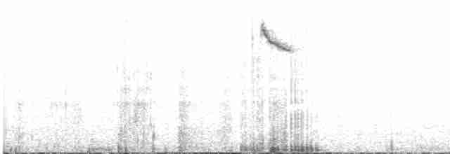 ハジロオーストラリアムシクイ - ML498949971