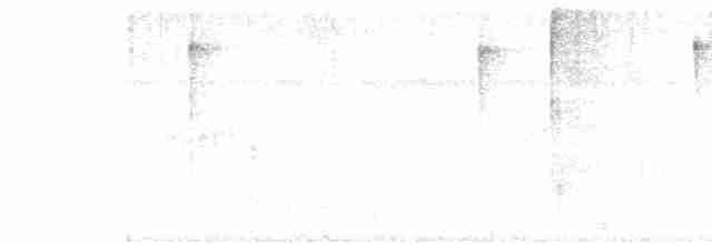 Голубогрудая амазилия - ML498968961