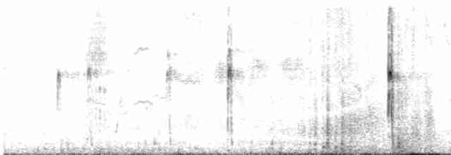 Schwarzstirn-Regenpfeifer - ML498971991