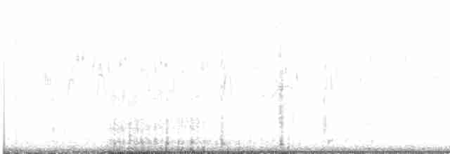 Чернолобый зуёк - ML498972001