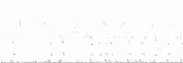 Black-tailed Nativehen - ML498972091