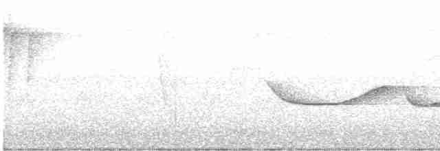 Gray-headed Babbler - ML498982901