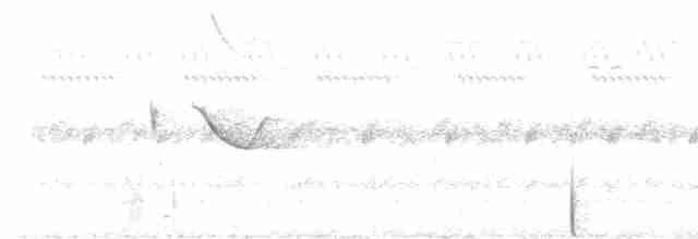 Spot-tailed Nightjar - ML499008331