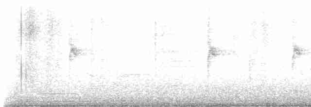 גיבתונית לבנת-גרון - ML499094961