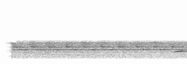 Kara Boğazlı Çalı Timalyası - ML499179111