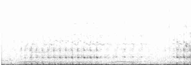 holub chocholatý - ML499195931