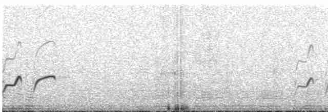 Длинноногая тиркушка - ML499260101