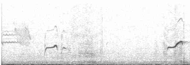 Длинноногая тиркушка - ML499260111