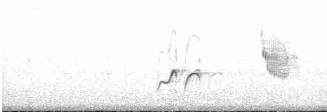 Длинноногая тиркушка - ML499260121