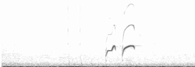 Длинноногая тиркушка - ML499260131