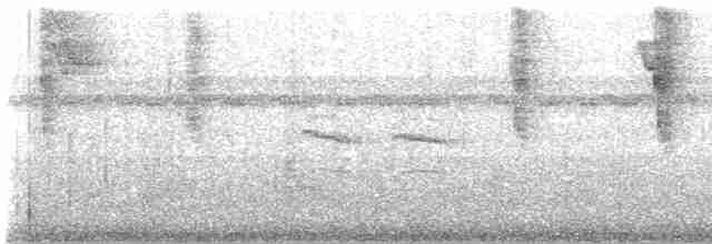 Зубцеклювый колибри - ML499273671