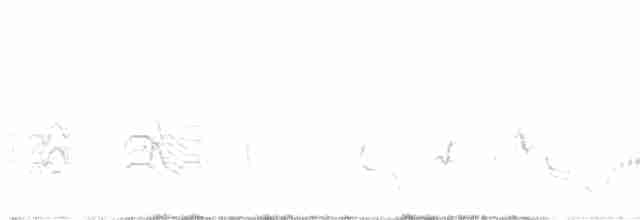Black-lored Babbler (Sharpe's) - ML499335911