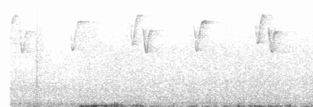 Чешуегорлый колибри-отшельник - ML499362451