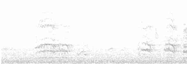 Conure magellanique - ML499372171