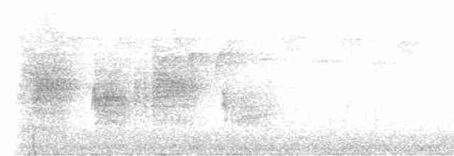 Сероголовый бюльбюль-бородач - ML499397651