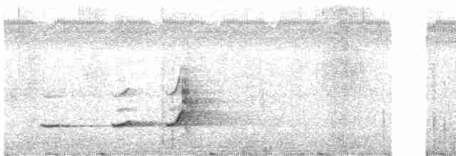 Crested Bobwhite (Spot-bellied) - ML499405661