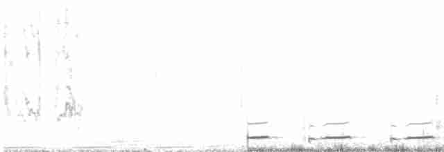 Серогрудый зобатый бегунок - ML499490421