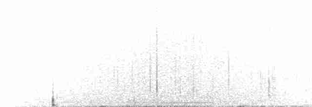 Avustralya Bıldırcınyelvesi - ML499618021