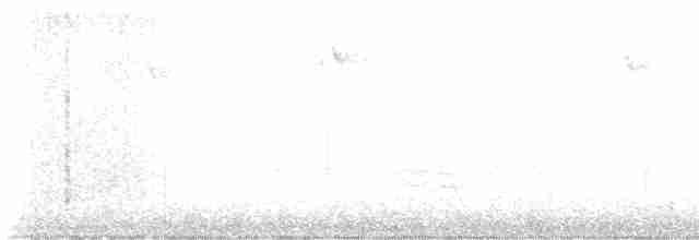 strakapoud kokardový - ML499671411