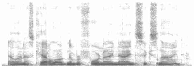 Bergeronnette de Béringie (tschutschensis/plexa) - ML49969