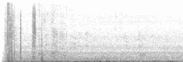Black-throated Gray Warbler - ML499699151