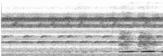 Ardıç Yerçavuşu - ML499731851
