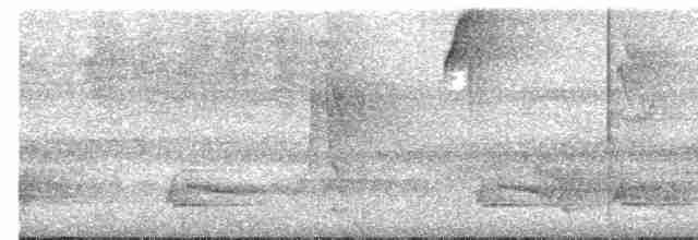 Лінивка-чорнопер жовтодзьоба - ML499766901