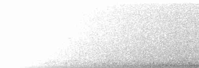 potápka bělolící - ML499787001