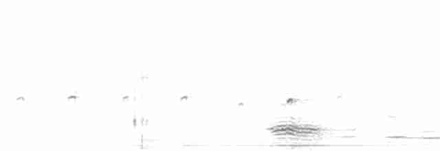 Ібіс сивоперий - ML49985931
