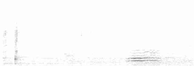 Ібіс сивоперий - ML49985941