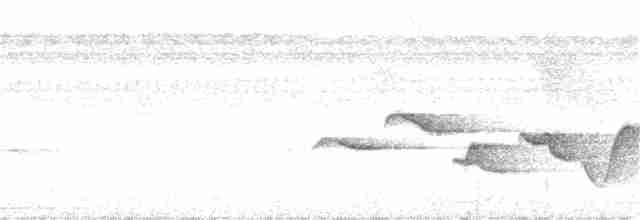 Spot-breasted Wren - ML49987191