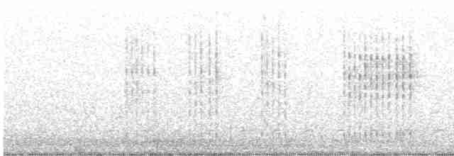 Chaparralgrasmücke - ML499879771