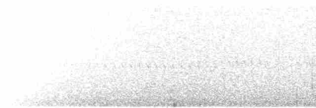 Spotted Nightjar - ML499896601