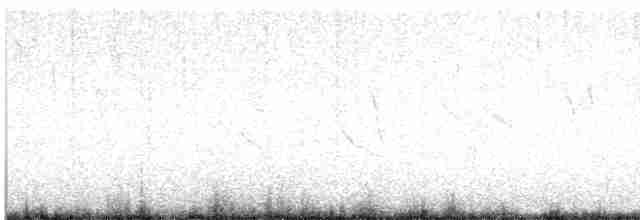 Weißschenkelstärling - ML499996811
