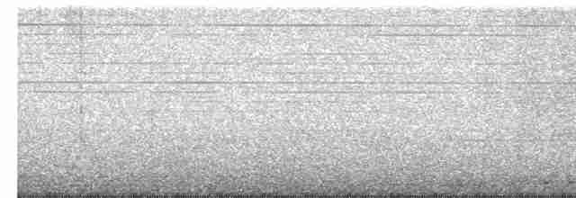 Grünschnabel-Stirnvogel - ML500001431