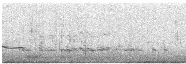 Black-bellied Plover - ML500115531