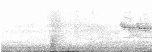 Молуккский ибис - ML500190021