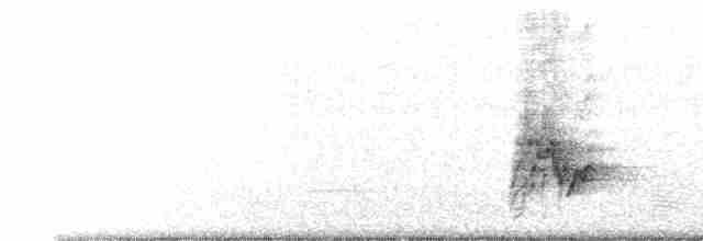Бюльбюль темноголовий [група tricolor] - ML500213971