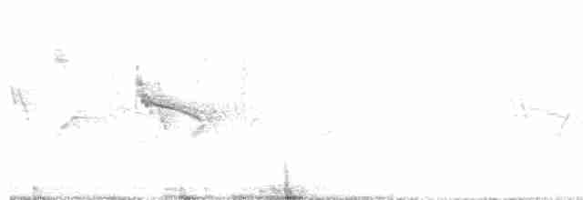 Rostflanken-Brillenvogel - ML500217061