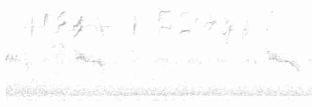 Rostflanken-Brillenvogel - ML500218321