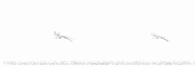 Rostflanken-Brillenvogel - ML500220951