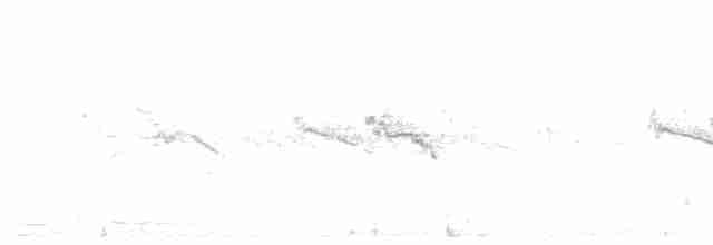 Rostflanken-Brillenvogel - ML500220961
