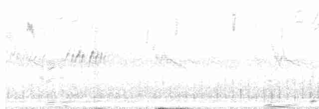 Личинкоїд сірий - ML500222591