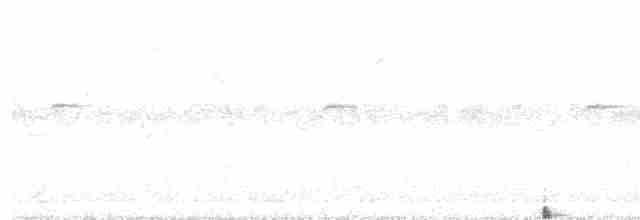 Daurian Redstart - ML500225361