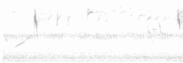Gray Wagtail - ML500225571