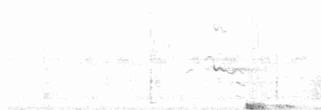 sokol stěhovavý - ML500227491
