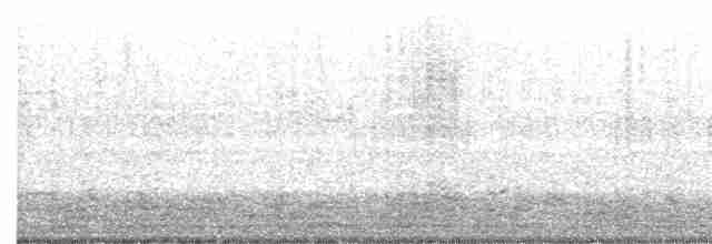Чёрная казарка (hrota) - ML500242941