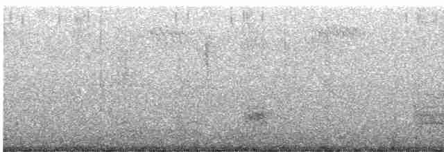 strakapoud americký [skupina harrisi] - ML500301251