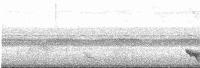 Поплітник плямистоволий - ML500321291