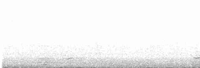 Чихуахунский ворон - ML500596981